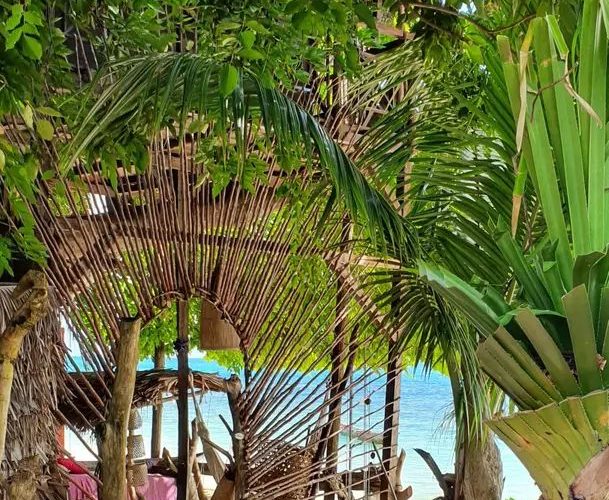 Cabane perchée · ile sainte marie · ★5,0 · 1 chambre · 1 lit · 1 salle de bain