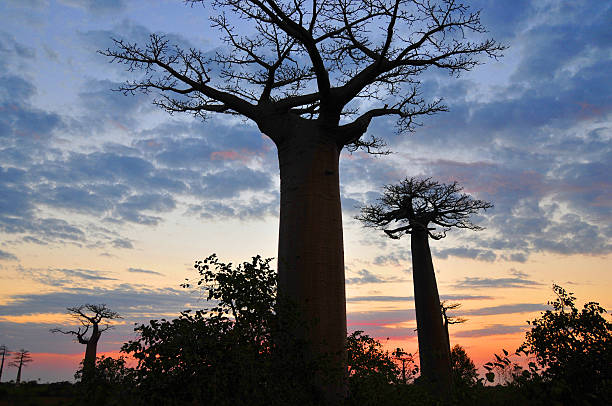 Randonnée ambalavao remontée de la partie sud et randonnée